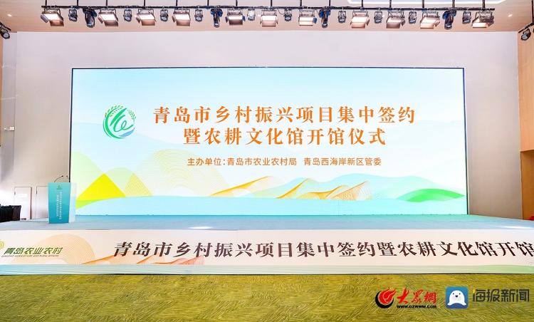 总投资226亿元项目集中签约！青岛抓住“牛鼻子”跑出乡村振兴“加速度”